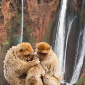 Ouzoud Marrakech Morocco