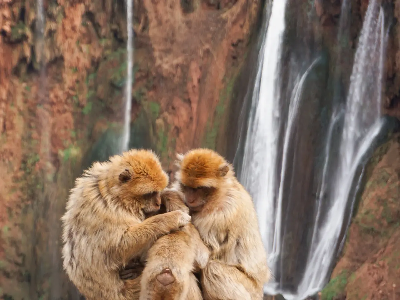 Ouzoud Marrakech Morocco