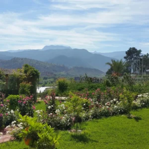 Valley Marrakech Morocco
